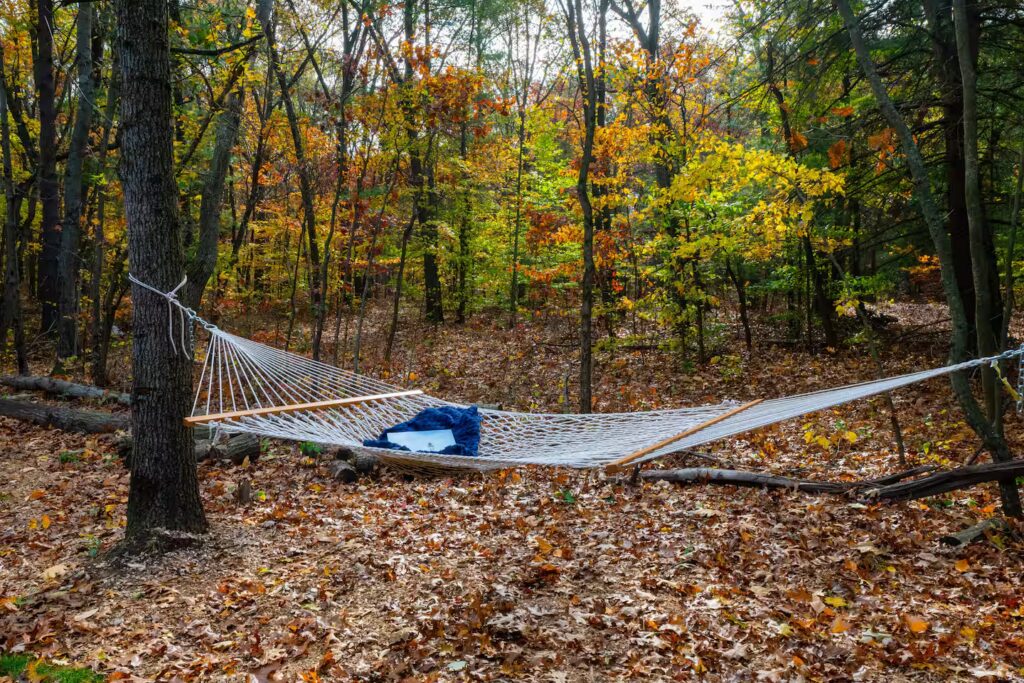 Hammock strung between trees in the autumn woods.